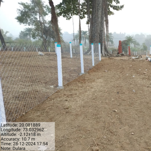 Dolara Village Blossoms: Silox India’s Miyawaki Green Legacy – Planting