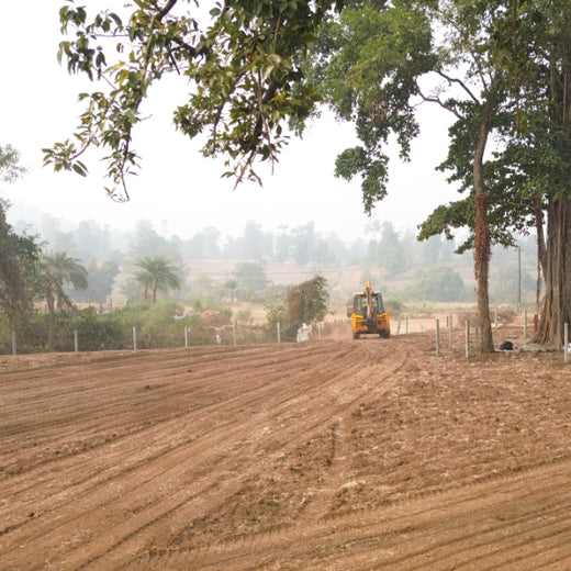 Dolara Village Blossoms: Silox India’s Miyawaki Green Legacy – Planting