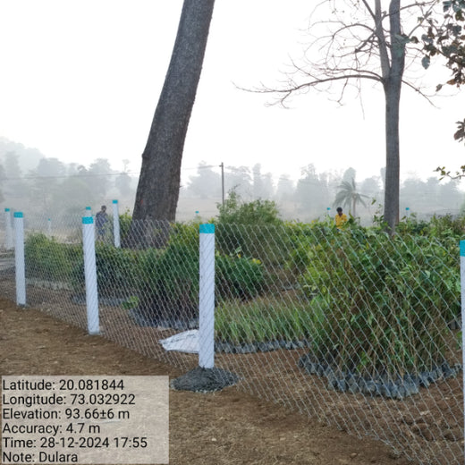 Dolara Village Blossoms: Silox India’s Miyawaki Green Legacy – Planting