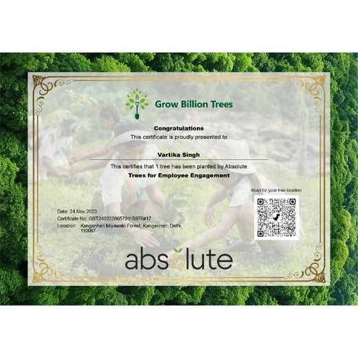 ECSO Global Pvt Ltd: Fostering a Greener Future with Urban Forests – Planting