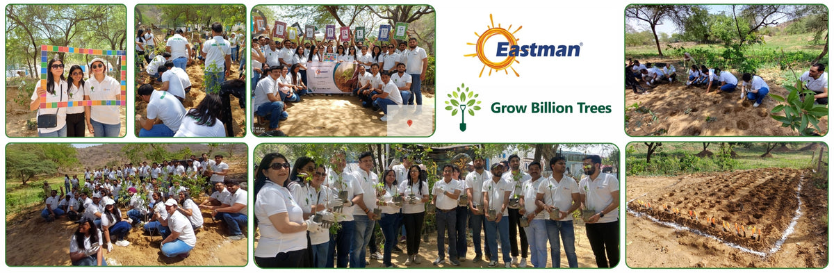 Eastman Auto & Power Ltd Grows Green: Urban Forest for Earth Day