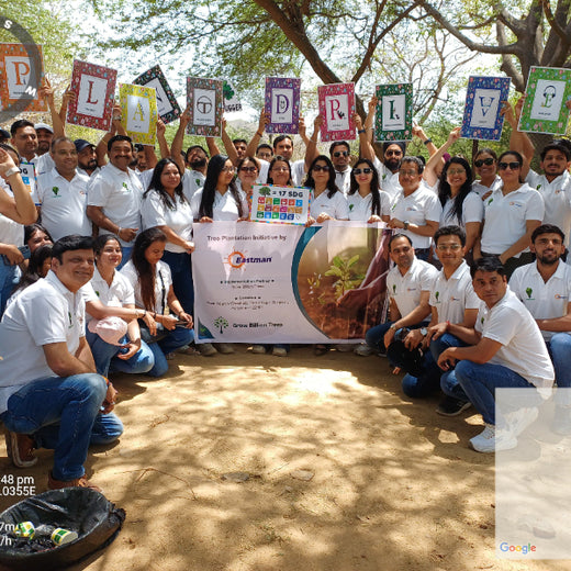 Eastman Auto & Power Ltd Grows Green: Urban Forest for Earth Day – Planting