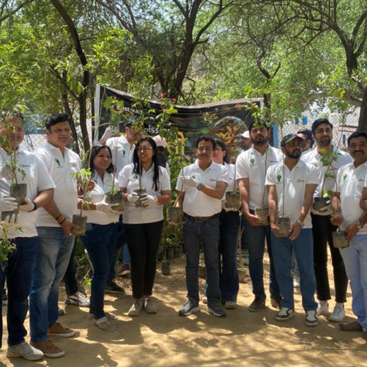 Eastman Auto & Power Ltd Grows Green: Urban Forest for Earth Day – Planting