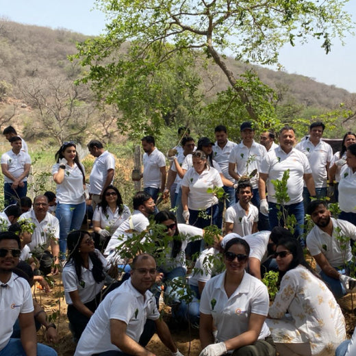 Eastman Auto & Power Ltd Grows Green: Urban Forest for Earth Day – Planting