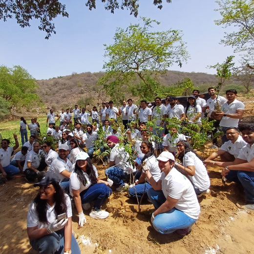 Eastman Auto & Power Ltd Grows Green: Urban Forest for Earth Day – Planting