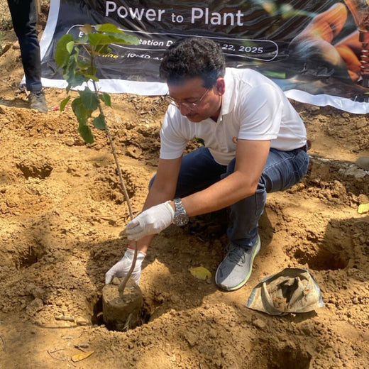 Eastman Auto & Power Ltd Grows Green: Urban Forest for Earth Day – Planting