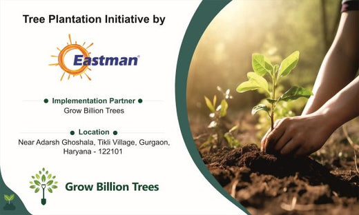 Eastman Auto & Power Ltd Grows Green: Urban Forest for Earth Day – Planting