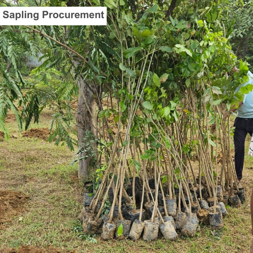 Smarter World, Greener Earth: Emerson’s CSR Initiative – Planting
