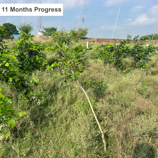 Smarter World, Greener Earth: Emerson’s CSR Initiative – 2 years