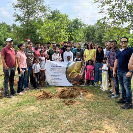 Smarter World, Greener Earth: Emerson’s CSR Initiative – 6 months
