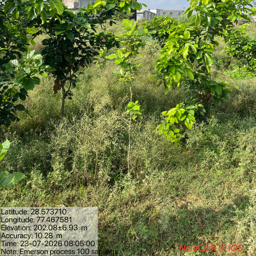 Smarter World, Greener Earth: Emerson’s CSR Initiative – 2 years