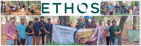 EcoEmpowerment: Ethos Life's Urban Forest for Employee Engagement