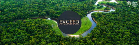 Exceed World’s Birthday Trees: Growing People, Growing Planet