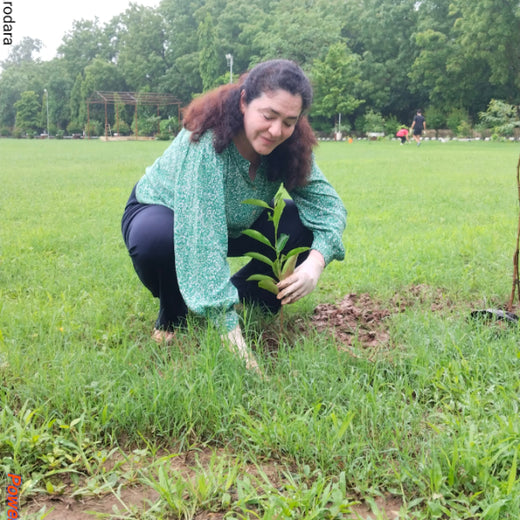 Leadership in Leaf: FICCI FLO Vadodara’s Sustainability Drive – 6 months