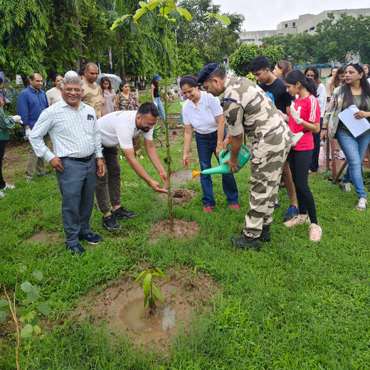 Leadership in Leaf: FICCI FLO Vadodara’s Sustainability Drive – 6 months
