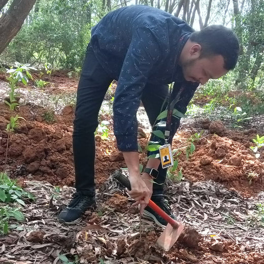 Empowering Green Growth: Fabzen Technologies' Employee-Driven Urban Forest – Planting