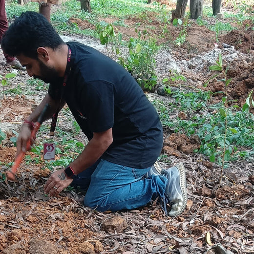 Empowering Green Growth: Fabzen Technologies' Employee-Driven Urban Forest – Planting