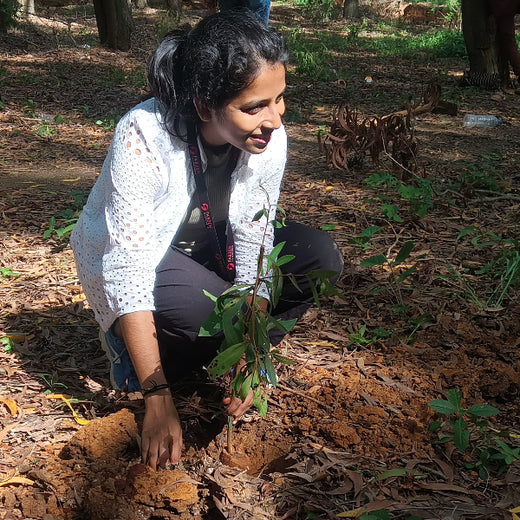 Empowering Green Growth: Fabzen Technologies' Employee-Driven Urban Forest – Planting