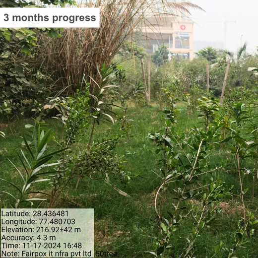 FAIRFOX IT INFRA: Connecting Employees with Nature – 6 months