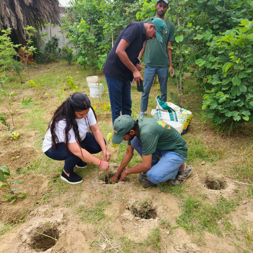 FAIRFOX IT INFRA: Connecting Employees with Nature – Planting