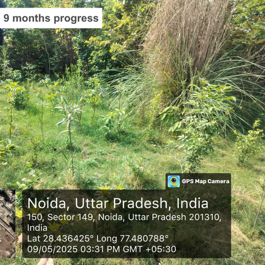 FAIRFOX IT INFRA: Connecting Employees with Nature – 6 months
