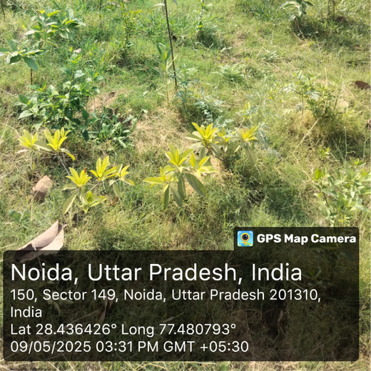 FAIRFOX IT INFRA: Connecting Employees with Nature – 6 months