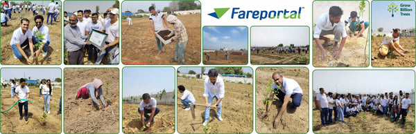 Growing Green, Empowering Farmers: Fareportal’s Agroforest CSR Drive