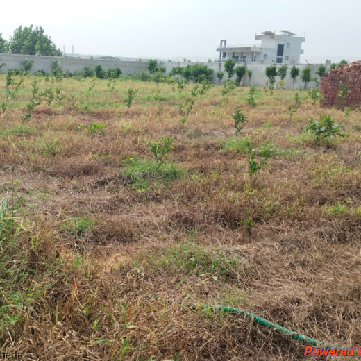 Growing Green, Empowering Farmers: Fareportal’s Agroforest CSR Drive – 2 years