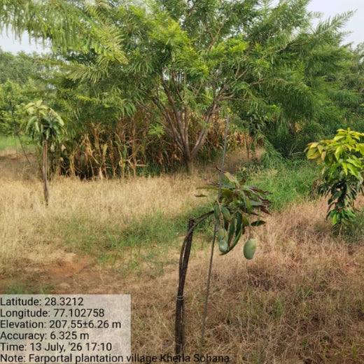 Growing Green, Empowering Farmers: Fareportal’s Agroforest CSR Drive – 3 years