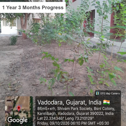 Leadership in Leaf: FICCI FLO Vadodara’s Sustainability Drive – 3 years