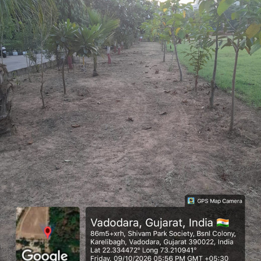 Leadership in Leaf: FICCI FLO Vadodara’s Sustainability Drive – 3 years