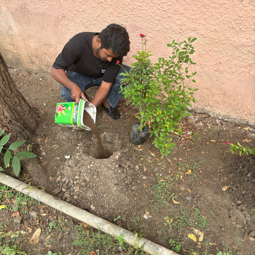 Tech for Trees: FiftyFive Technologies' Commitment to Sustainability – Planting