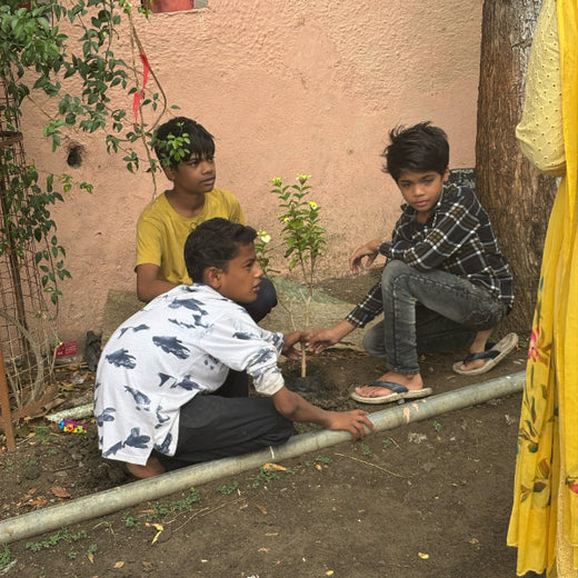 Tech for Trees: FiftyFive Technologies' Commitment to Sustainability – Planting