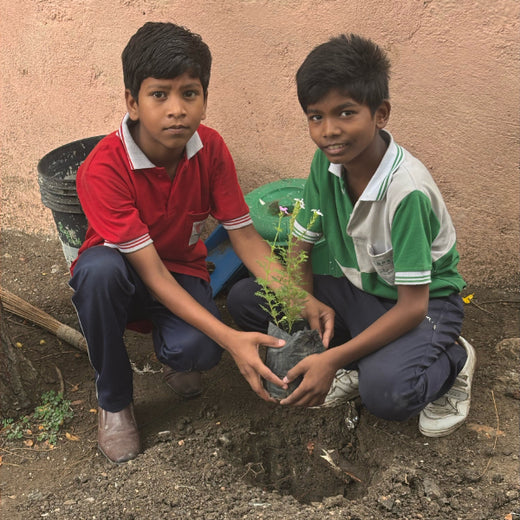 Tech for Trees: FiftyFive Technologies' Commitment to Sustainability – Planting