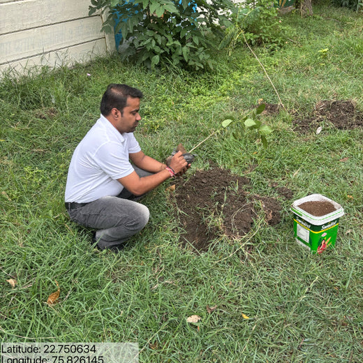Tech for Trees: FiftyFive Technologies' Commitment to Sustainability – Planting