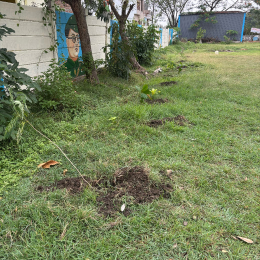 Tech for Trees: FiftyFive Technologies' Commitment to Sustainability – Planting