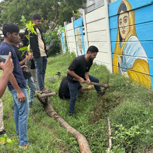 Tech for Trees: FiftyFive Technologies' Commitment to Sustainability – Planting