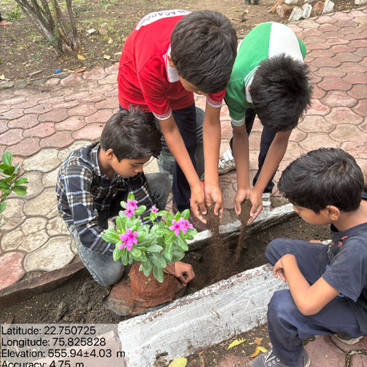 Tech for Trees: FiftyFive Technologies' Commitment to Sustainability – Planting