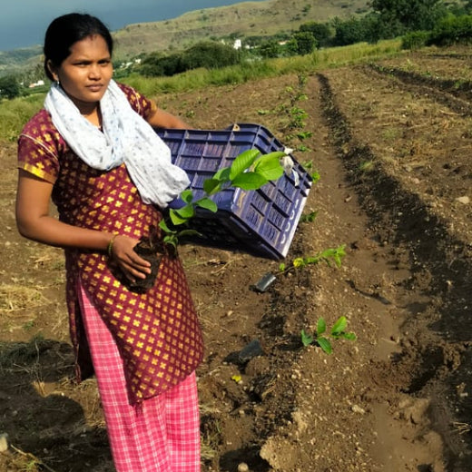 Fund & Forest: Finansu’s Sustainable Lending Drive – Planting