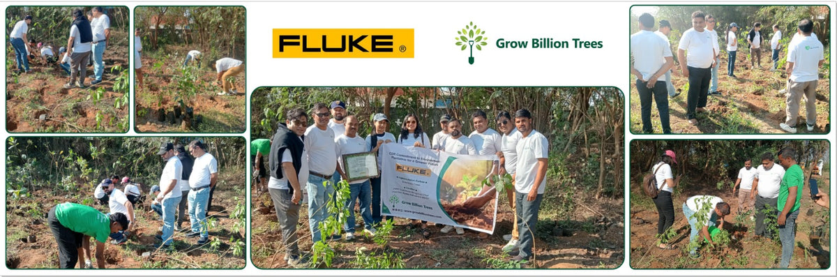 Fluke Technologies’ CSR Effort to Restore Urban Nature