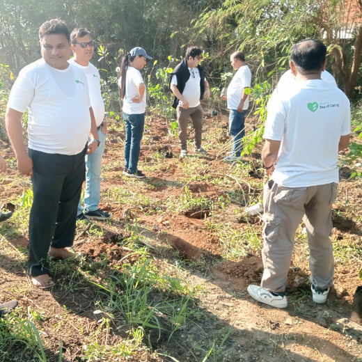 Fluke Technologies’ CSR Effort to Restore Urban Nature – 6 months