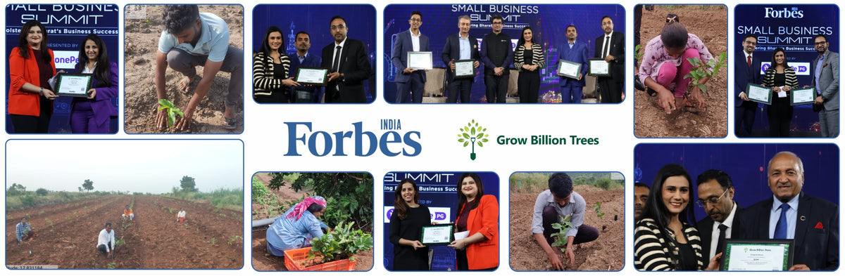 Forbes Grows Opportunity: Agroforest Initiative for Environmental and Economic Resilience