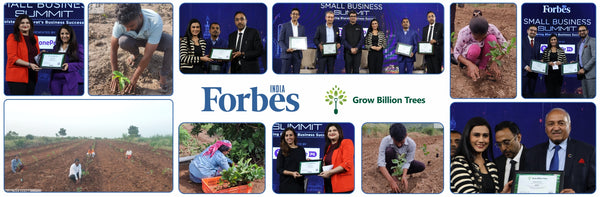 Forbes Grows Opportunity: Agroforest Initiative for Environmental and Economic Resilience