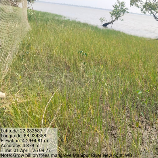 Nature’s Guardians: Mangroves for People, Planet, and Prosperity – 1 year