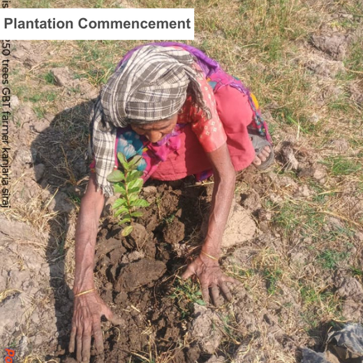 Learning, Leadership & Sustainability at GEO HR Convention 2025 – Planting