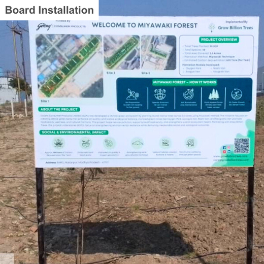 Forest by Design: Godrej Turns Industrial Space into Biodiversity Hub – 1 year