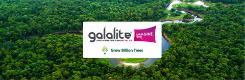 A Green Gift for Every Birthday: Galalite's Sustainable Celebration for Employees’ Birthdays