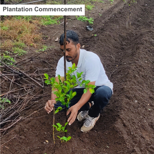 Geeta Apparels' Eco Promise: A Tree for Every Shipment – Planting
