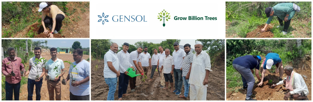 Gensol Delhi: Inspiring Change with an Urban Forest