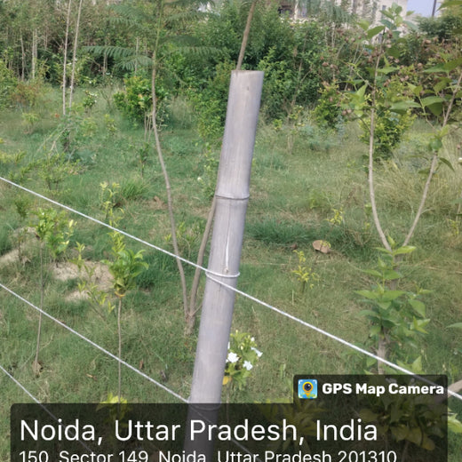 Gensol Delhi: Inspiring Change with an Urban Forest – 6 months